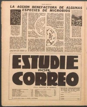 La acción benefactora de algunas especies de microbios