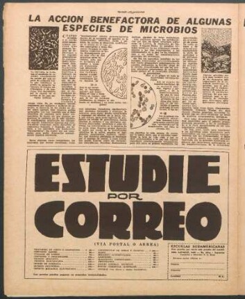 La acción benefactora de algunas especies de microbios