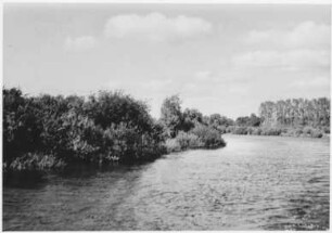 Ufersituation bei Raken