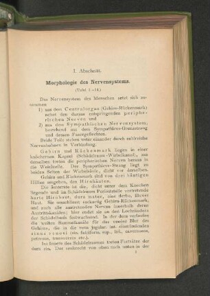 I. Abschnitt. Morphologie des Zentralnervensystems.