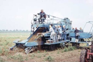 Tomatenerntemaschine SKT-2