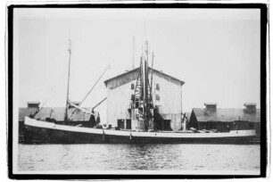 Hansa (1910), H. Peters, Hbg