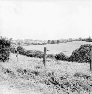 Blick auf Steinfeld: vorn Zaun: dahinter Knicklandschaft mit Weiden, Feldern, Büschen und Bäumen: hinten Häuser
