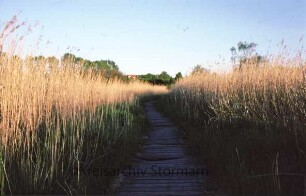 Brenner Moor: Steg