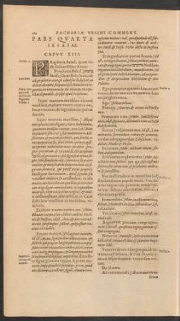 Pars Quarta Iesaiae. Caput XIII.