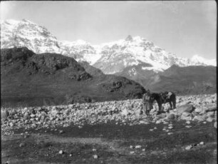 Indien. Kashmir. Ladakh. Moränen im Dras-Tal. Blick zur Zanskar-Kette