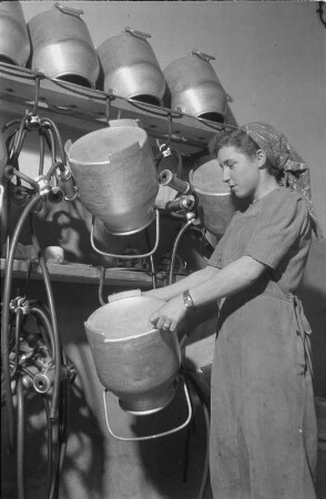 Merxleben (Bad Langensalza-Merxleben). LPG "Walter Ulbricht". Bäuerin beim Reinigen von Milchkannen