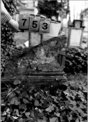 Grabstein 753