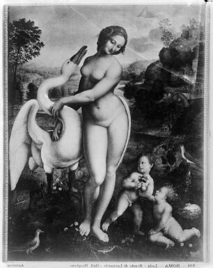 Leda und der Schwan