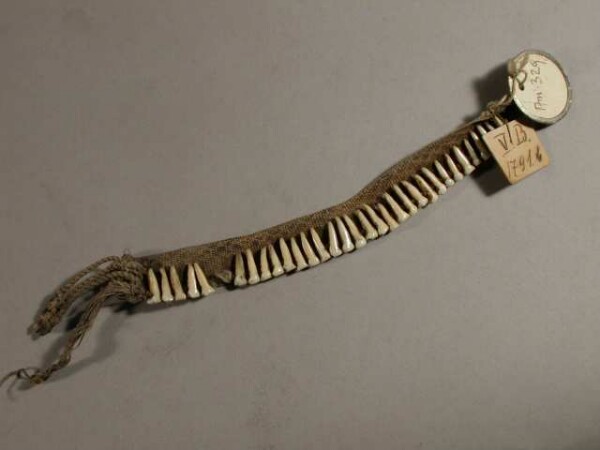 Bracelet with monkey teeth