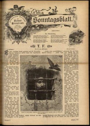 Ausgabe vom Sonntag, den 19. Januar 1896.