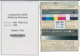 Entnazifizierung Fritz Mosler , geb. 13.08.1895 (Inspektor)