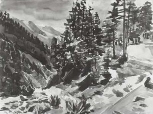 Motiv aus dem Schmirntal