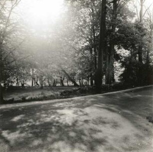 Gönnsdorf. Schönfelder Straße. Rest der Bruchsteinmauer des Gutsparkes