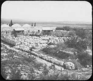 Synagoge v. tell hum [kafarnaum, kapernaum] v. SW