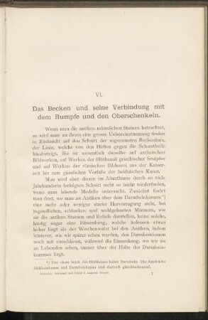 VI. Das Becken und seine Verbindung mit dem Rumpf und den Oberschenkeln.