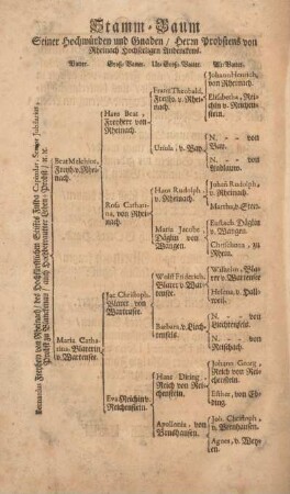 Stamm-Baum Seiner Hochwüden und Gnaden, Herrn Probstens von Rheinach Hochseeligen Andenckens.