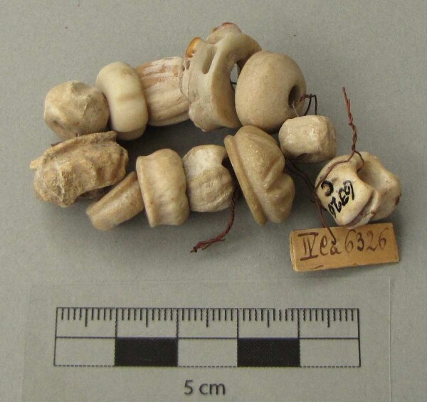 Shell beads (?)