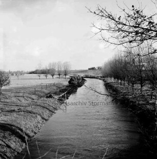 Heilsau: rechts Baumreihe: links Wiesen: hinten Mitte aufgeschütteter Flussdeich nach Versenken einer Spundwand