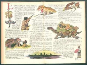 La tortuga gigante