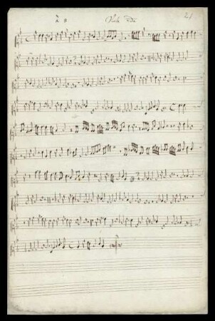 Viola 2do