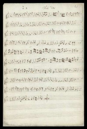 Viola 2do