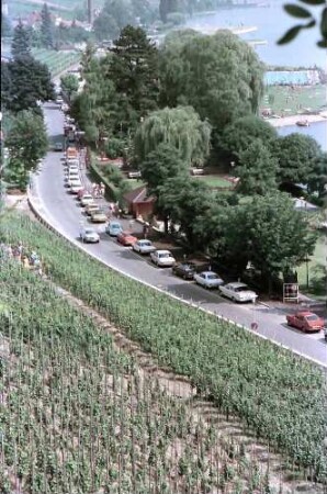 Meersburg: Weinberg unterhalb des Schlosses