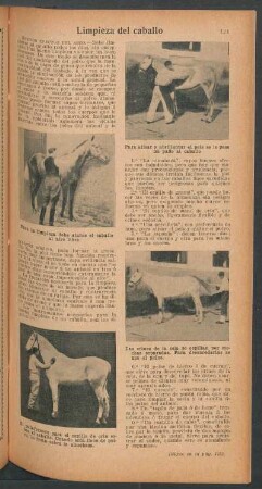 Limpieza del caballo