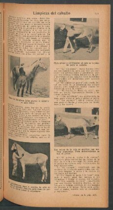Limpieza del caballo