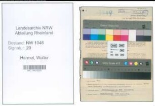 Entnazifizierung Walter Harmel , geb. 13.02.1921 (Kreisangestellter)