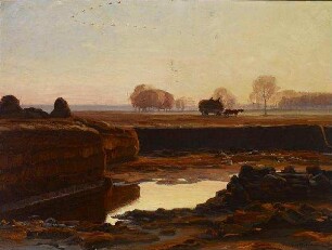Torfgrube. Einfelder Moor