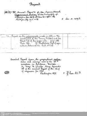 Report Experiment