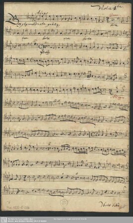 Viola quarta.
