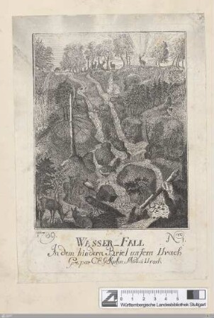 Wasser-Fall : In dem hindern Briel unfern Urach