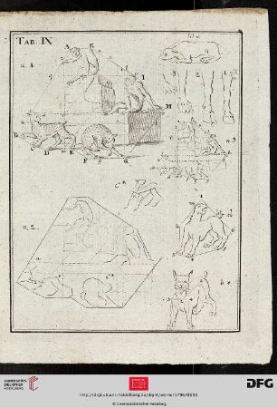 Tab. IX [Div. Tiere (Schemata; Kompositionsstruktur)]