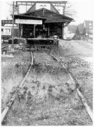Blick auf zugewachsene Gleise in Oerlinghausen (Altersgruppe 14-17)