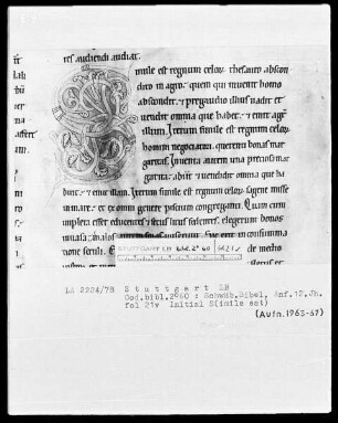 Bibel — Initiale S (imile est), Folio 21 verso