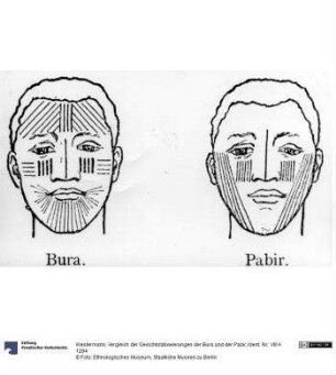 Vergleich der Gesichtstätowierungen der Bura und der Pabir