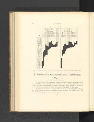 B. Horizontale und quantitative Verbreitung.