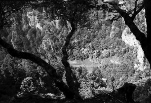 Blick vom Hirschsprung ins Höllental