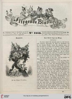 Nr. 1213