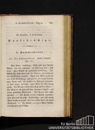 IV. Classe, I. Ordnung. Sanftbrüchige.