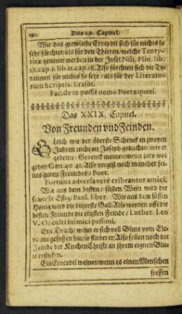 Das XXIX. Capitel. Von Freunden und Feinden.