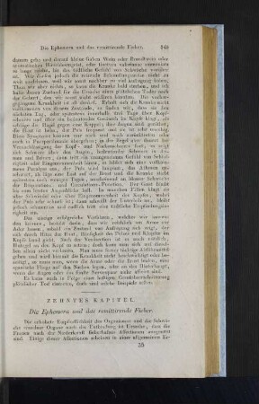 Zehntes Kapitel. Die Ephemera und das remittirende Fieber.