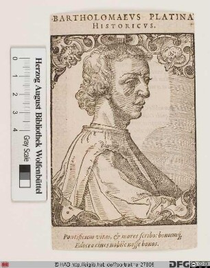 Bildnis Bartolommeo Sacchi, gen. il Platina