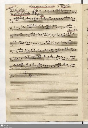 713. Cavatina: La mia amorosa hà un volto / Naumann, J.G.