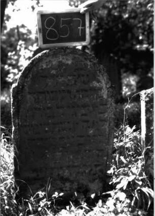 Grabstein 857 (Index: 100102953) Material: Sandstein Zustand: stark verwittert Maße HxBxT: 87x55x8 cm Beschreibung: Stele, eingezogener Rundbogenabschluss, Schriftfeld eingetieft: Grabstein 857