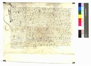 Werner Frischhertz von Villingen, der wegen Diebstahls von der Stadt Rottweil inhaftiert und wieder freigelassen wurde, schwört Urfehde.