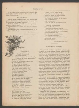 Temblores y volcanes