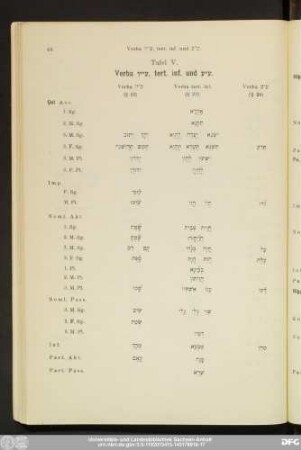 Tafel V. Verba ע“'ך, tert. inf. und ע“ע.